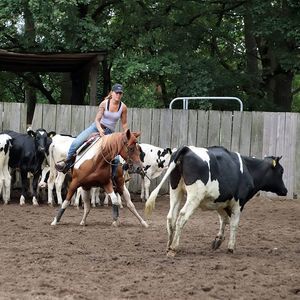 Meet your Posher, Lena